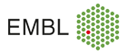 European Molecular Biology Laboratory